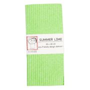 Ann Bäck Eco-Friendly Dishcloth, Summer Lime